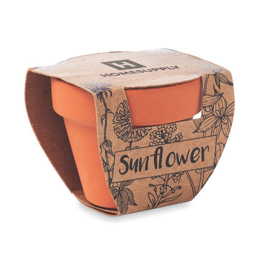 Terracotta Flower Pot With Seeds | Sunflower