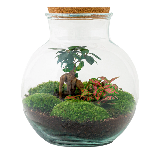 Unique Corporate Christmas Gifts Ireland