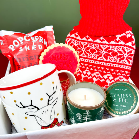 Christmas Gift Delivery
