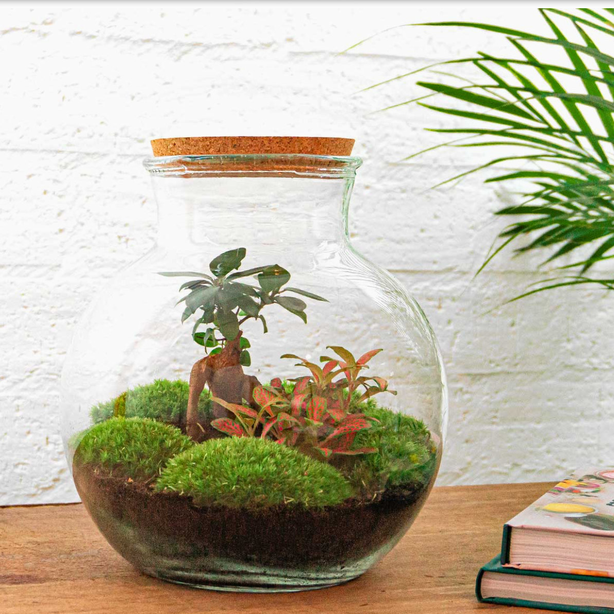 Sustainable Corporate Christmas Gifts Ireland