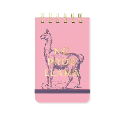 small pink notebook