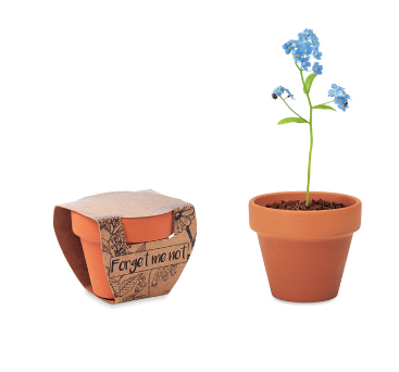 Terracotta Flower Pot With Seeds